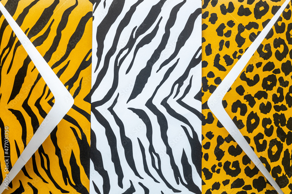 three envelopes with tiger, jaguar and zebra skin patterns, Creative layout, Flat lay