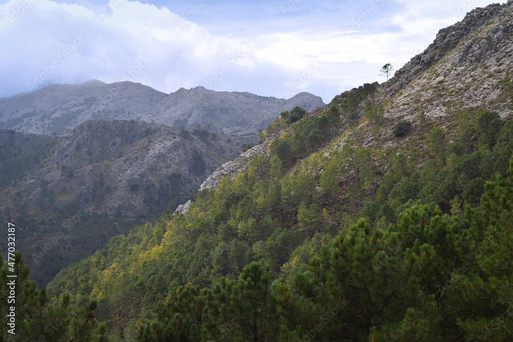 Naklejka premium landscape with mountains
