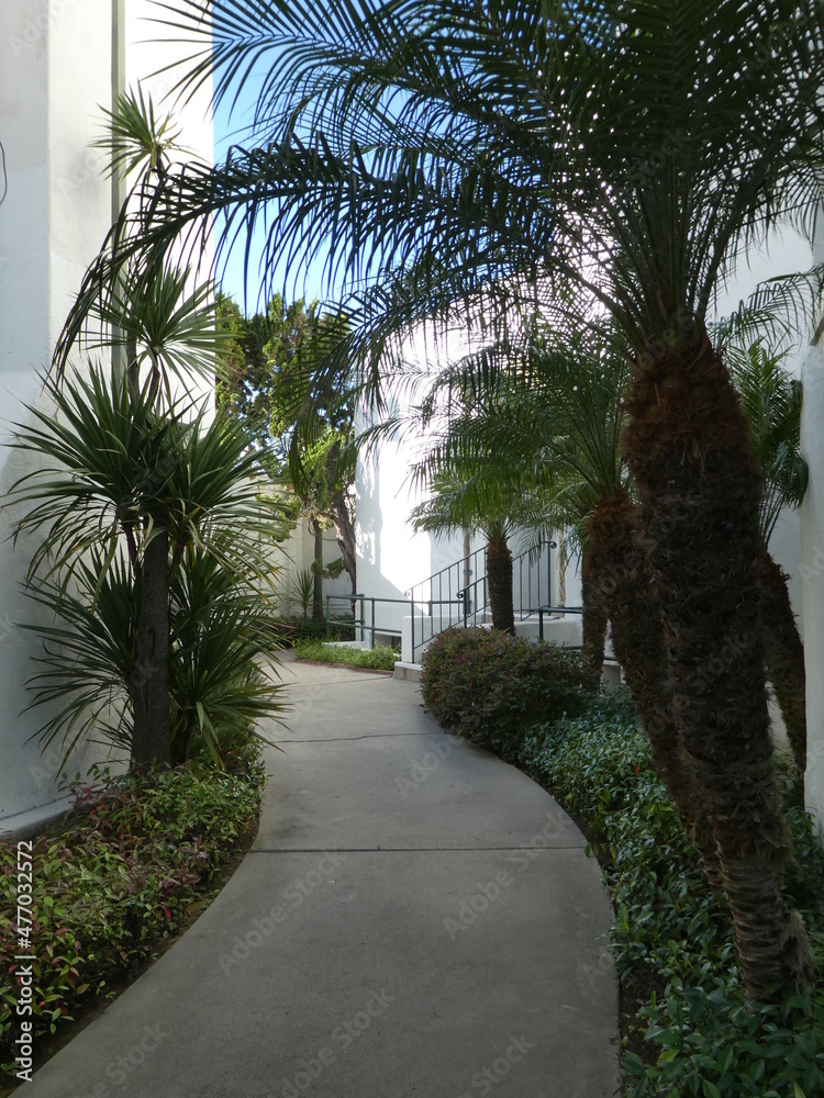 Fototapeta premium Church in Santa Barbara, California