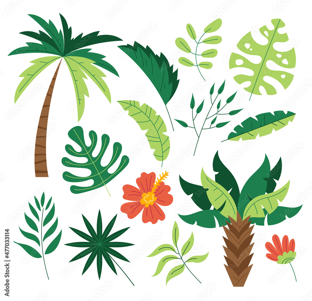 Jungle exotic flora tree palm leafes tropic plant isolated set. Vector flat graphic design cartoon illustration - obrazy, fototapety, plakaty 