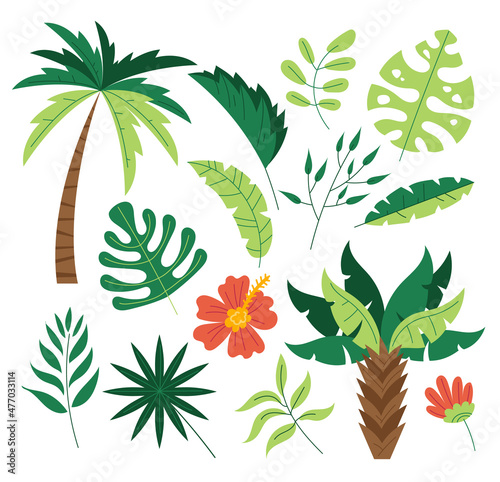 Jungle exotic flora tree palm leafes tropic plant isolated set. Vector flat graphic design cartoon illustration