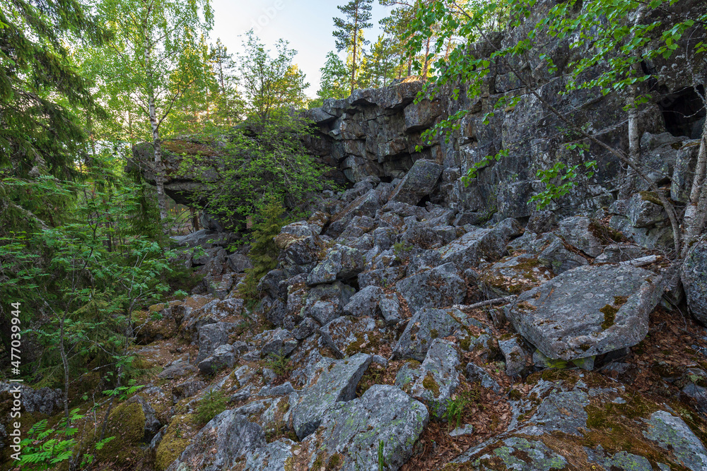Rocky hill and cliff in a lush forest at the Pirunvuori ( Rocky hill and cliff in a lush forest at the Pirunvuori (