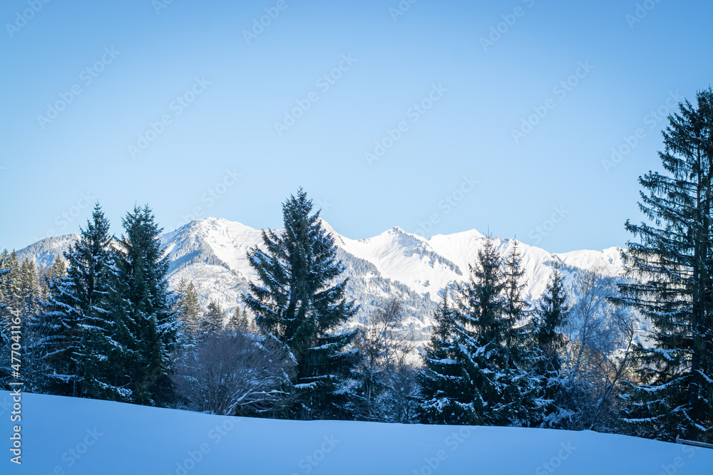 Landschaft /  Winter