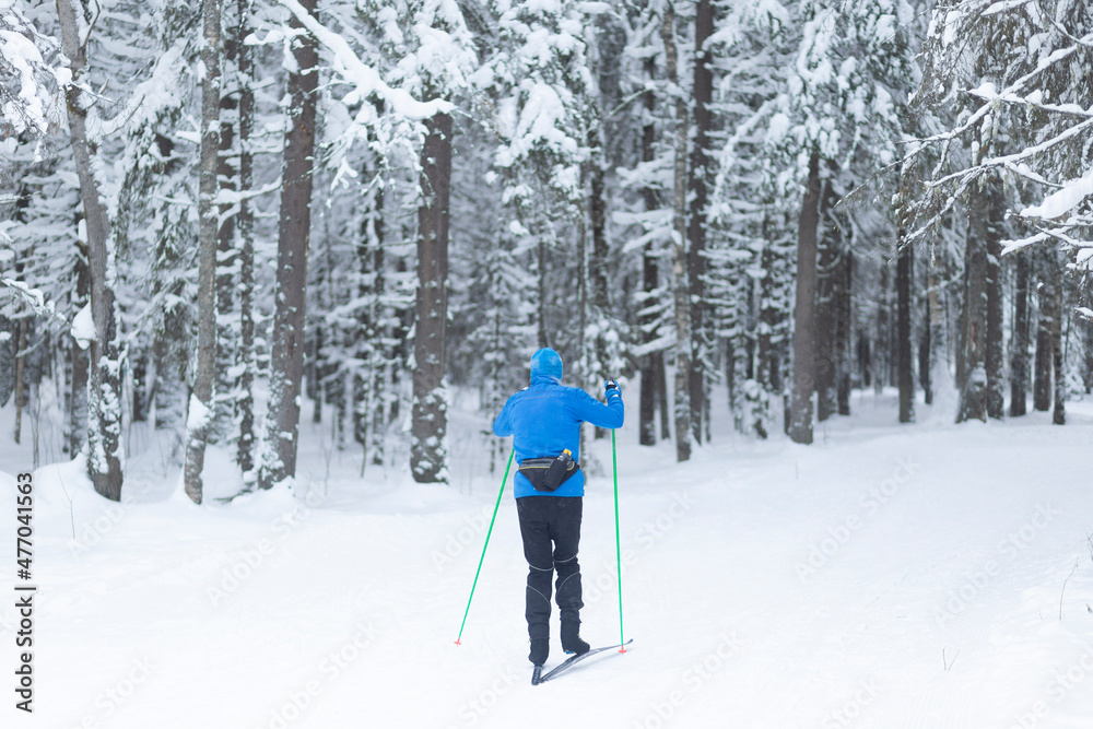 People ski in the winter in the forest.Cross country skilling.