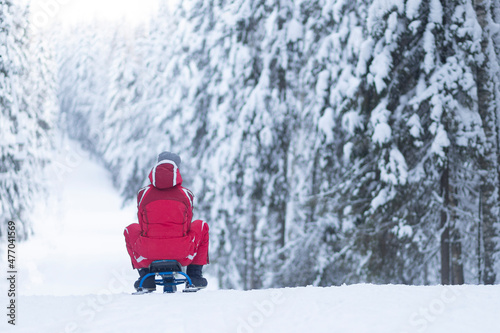 People sledding in winter from the mountain. Walking in the forest in winter.