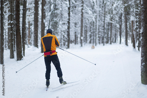 People ski in the winter in the forest.Cross country skilling.