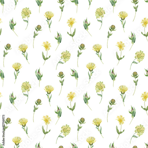 Watercolor seamless pattern with yellow garden flowers.