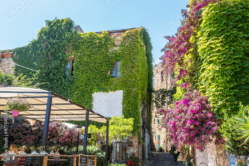 Fototapeta Naklejka Na Ścianę i Meble -  Ancient streets to houses in Bussana Vecchia damaged and earthquake with plants and flowers