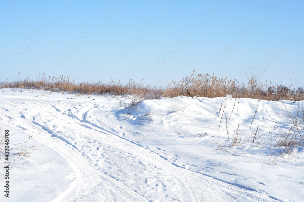 Snowy winter road in the field. Deep snow. Reed thickets in the field