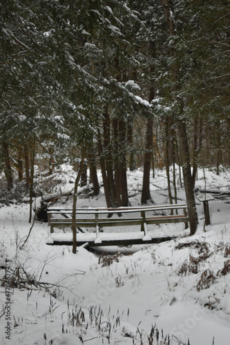 La Plaine 26 décembre 2021