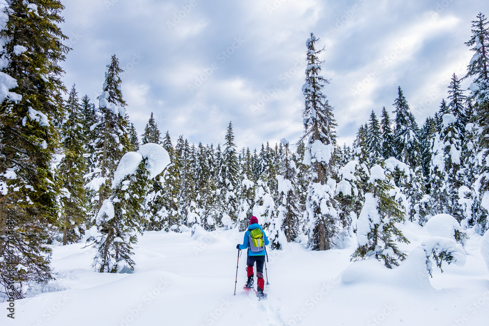 Girl snowshoeing in a spruce forest