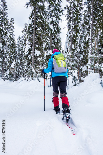 Girl snowshoeing in a spruce forest