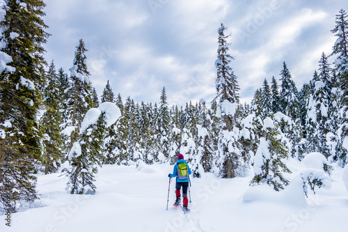 Photography Girl snowshoeing in a spruce forest
