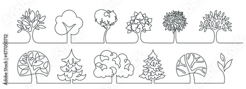 Set of trees - continuous line drawing. Vector illustration