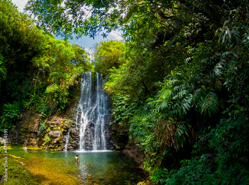 Fototapeta Naklejka Na Ścianę i Meble -  View of a waterfall hidden in a forest located in Mauritius
