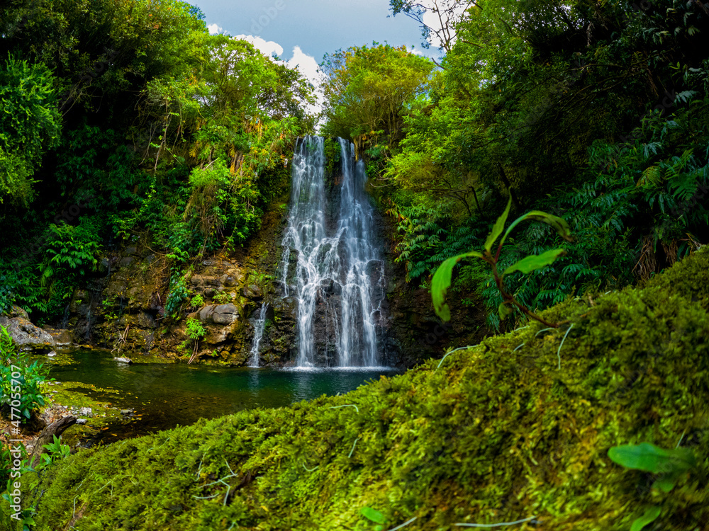Obraz premium View of a waterfall hidden in a forest located in Mauritius