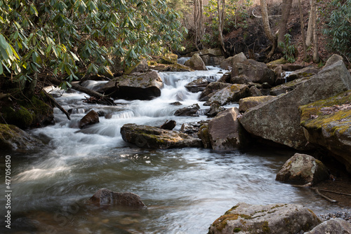 mountain river in the forest