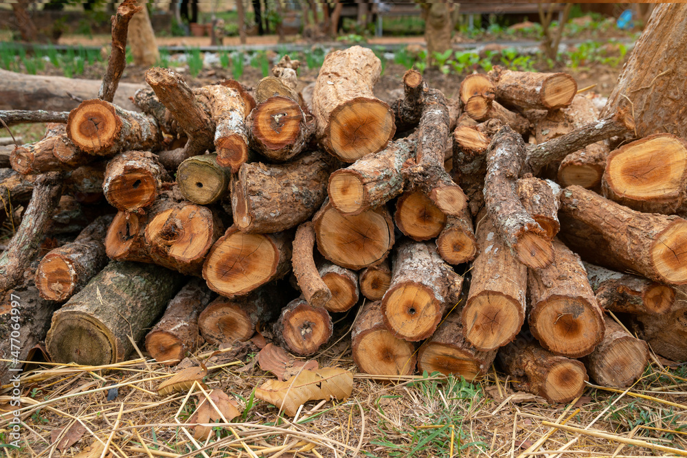 A pile of stacked firewood, prepared for heating the house, Firewood harvested for heating in winter, Chopped firewood on a stack, Firewood stacked and prepared for winter Pile of wood logs.