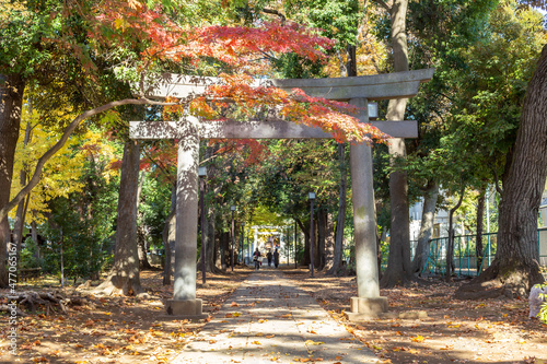 Photography stone torii gate and long walk path in japanese shinto shrine surrounded by autu