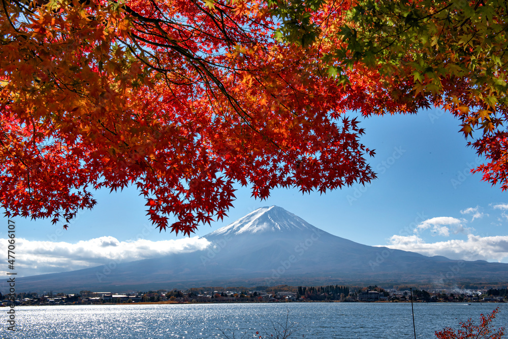 Fuji Mountain and Red Maple Trees in Autumn at Kawaguchiko Lake, Japan