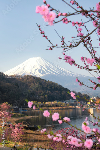 Fuji mountain and Pink Sakura Branches in Spring at Kawaguchiko Lake, Japan