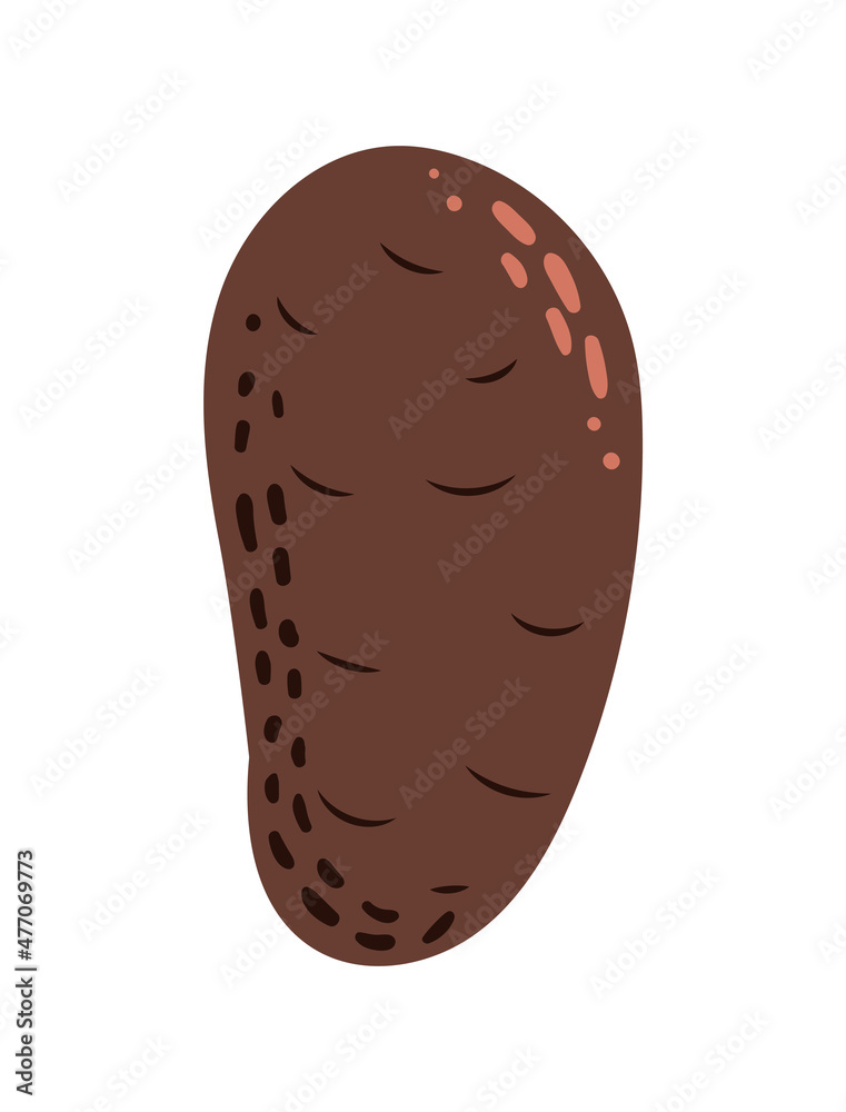 Fresh raw potato in doodle style. Hand drawn vector illustration on white background.