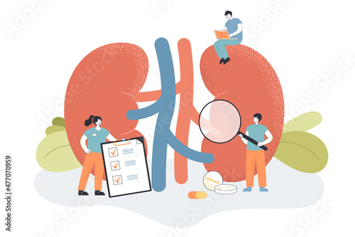Doctors check health of kidneys and urinary system in clinic. Medical study of tiny people with chronic kidney diseases and physiology flat vector illustration. Urology, nephrology, dialysis concept