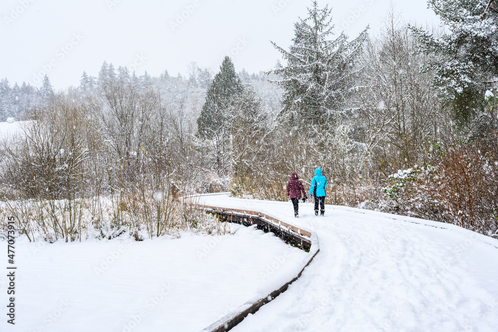 Winter recreation, raised boardwalk trail covered in fresh snowfall and footprints, two people walking
