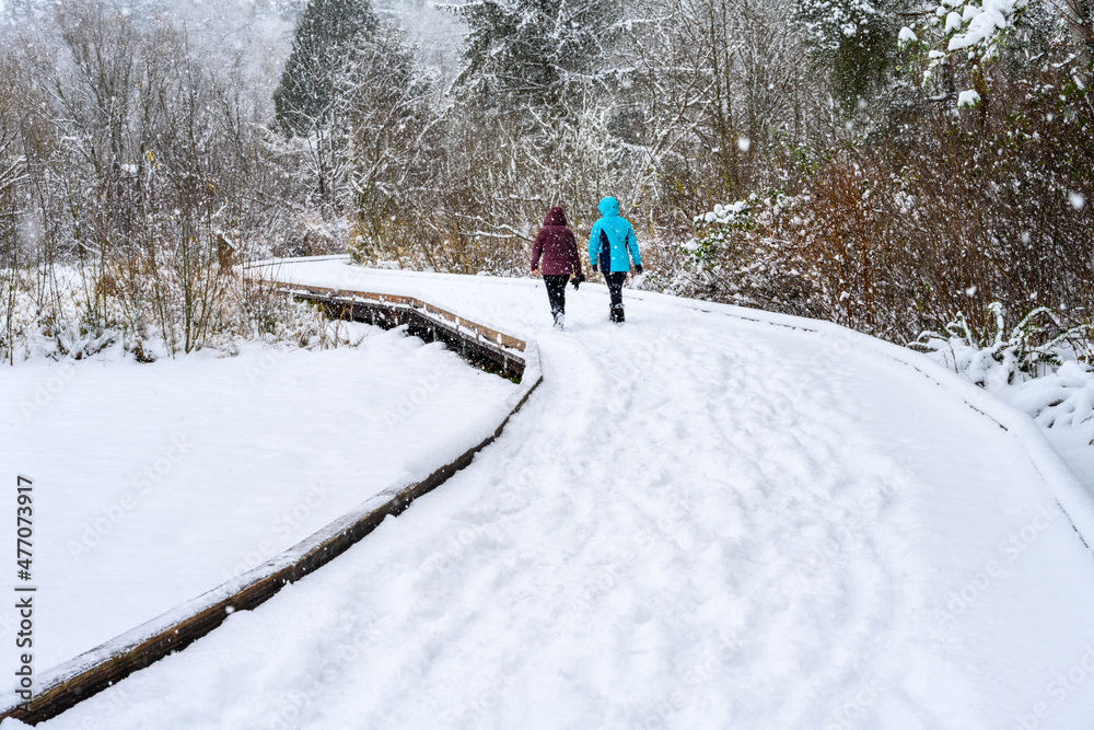 Winter recreation, raised boardwalk trail covered in fresh snowfall and footprints, two people walking
