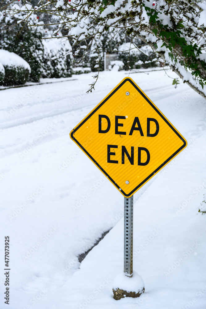 Dead end sign in a residential neighborhood on a snowy day, snow covering street, bushes, and trees
