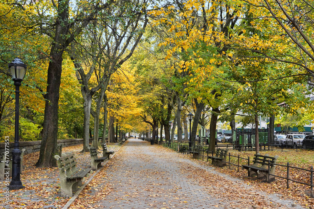 Naklejka premium Tree lined sidewalk in northern Manhattan in Riverside Park