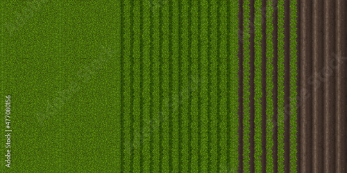 Top view of farm field with green grass and plowed soil. Vector cartoon background of countryside land, plantation with furrow on ground and rows of grow plants