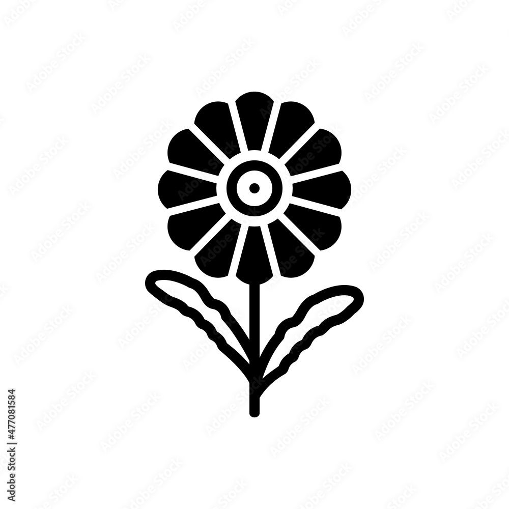 Black solid icon for daisy Black solid icon for daisy