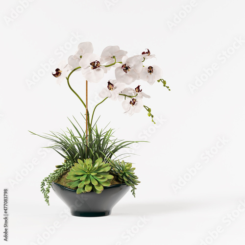 Obraz na plátně Decorative orchid white in florarium ceramic pot isolated on white background
