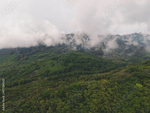 Aerial drone view of mist tropical rainforest in valley, Indonesia. © Reezky
