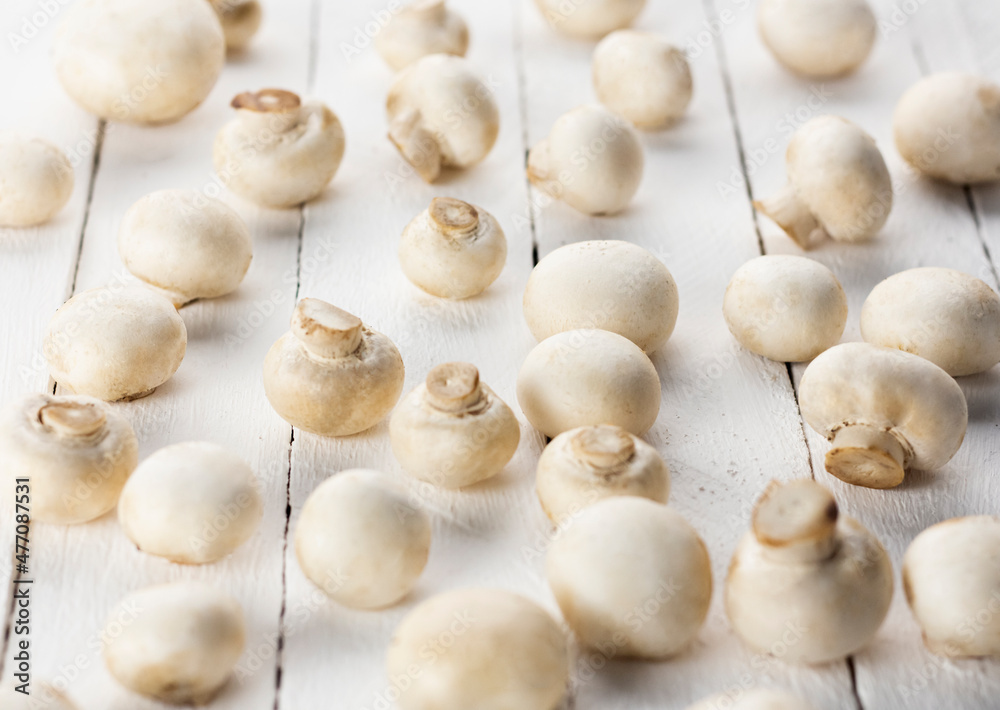 edible mushrooms champignons on a white background of boards edible mushrooms champignons on a white background of boards