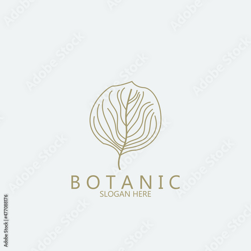 Foto botanic