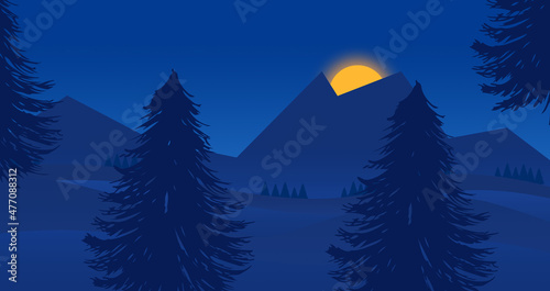 winter forest landscape.  