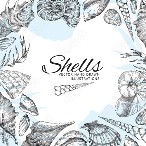 Poster or banner template with hand drawn ocean shells vector illustration.