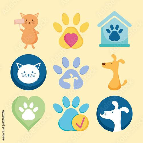 dogs and cats set