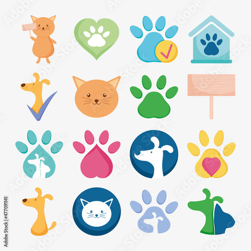 pets and footprints