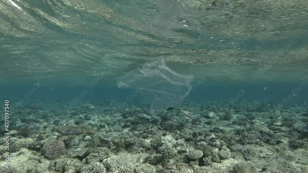 Plastic pollution - Plastic bags floats under surface of the water above coral reef, with a flock of tropical fish swimming nearby. Plastic garbage environmental pollution problem Plastic pollution - Plastic bags floats under surface of the water above coral reef, with a flock of tropical fish swimming nearby. Plastic garbage environmental pollution problem