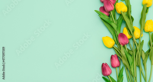 Bouquet of yellow and pink tulips on light green background. Flower frame with copy space on green background.
