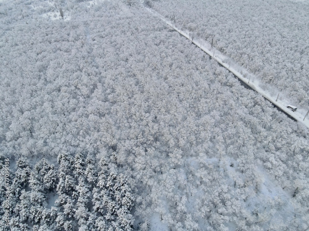 snow on the road, Winter forest from the air, covered with snow, winter beauty concept, perfect wallpaper, nature, eco snow on the road, Winter forest from the air, covered with snow, winter beauty concept, perfect wallpaper, nature, eco