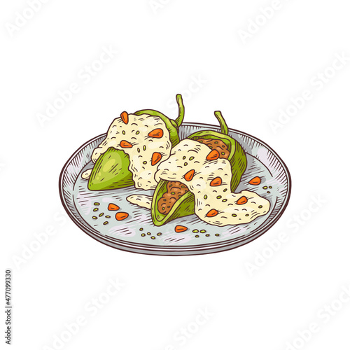 Mexican chile en nogada dish hand drawn vector illustration isolated on white.