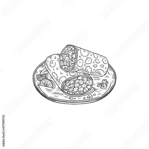 Mexican burrito wrap with black outlines, sketch vector illustration isolated on white background.