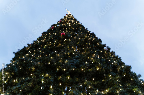 christmas tree in the city