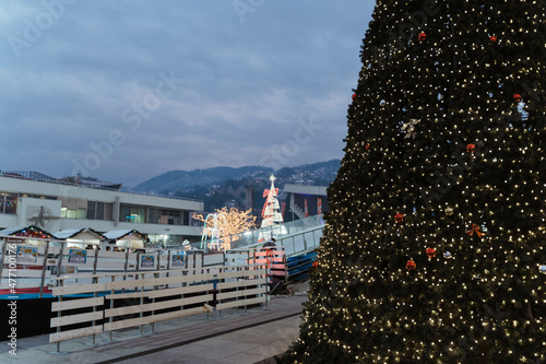 christmas tree in the city