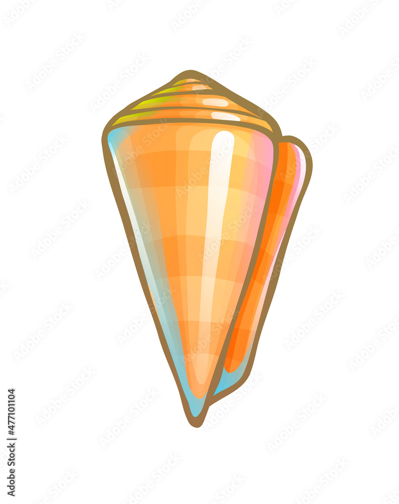 Striped cone shell. Marine animal, vector drawing Striped cone shell. Marine animal, vector drawing