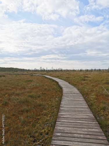 A section of brown plank flooring over a swamp with yellowed grass, against a sky with clouds. © Elena